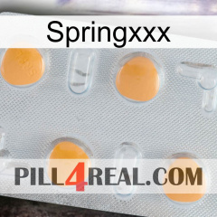 Springxxx 24